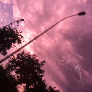 处女小姨妹乱欲小说
